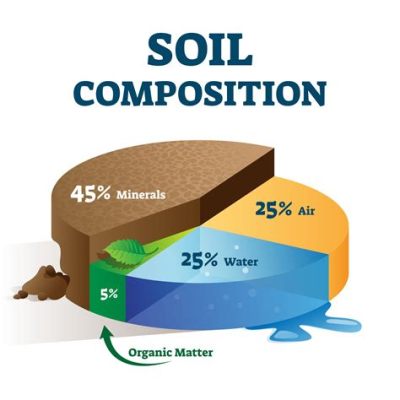 Why Does Soil Composition Differ Across the Globe? A Multifaceted Analysis